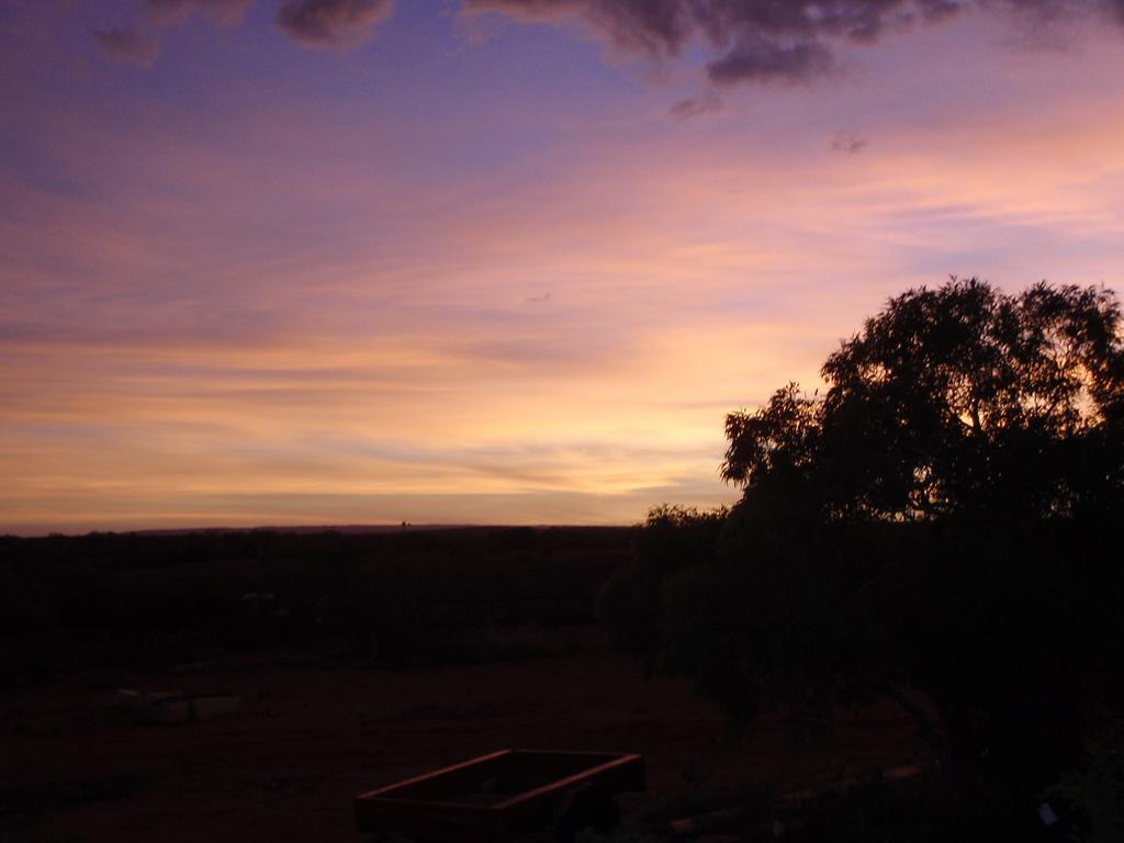 Ningaloo Bed And Breakfast Exmouth Eksteriør billede