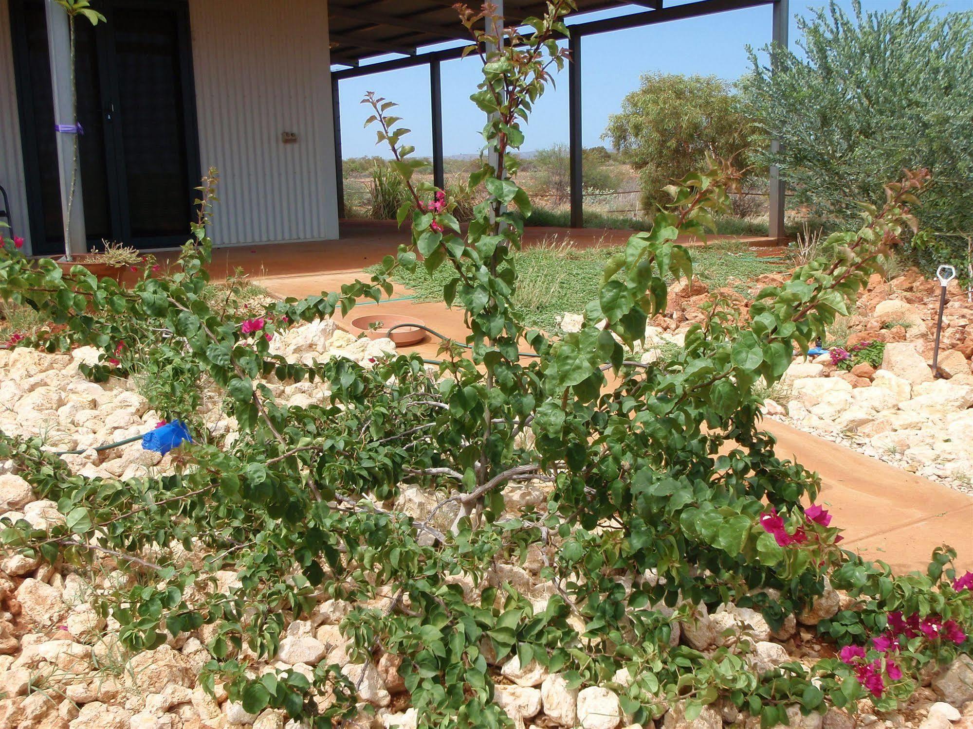 Ningaloo Bed And Breakfast Exmouth Eksteriør billede